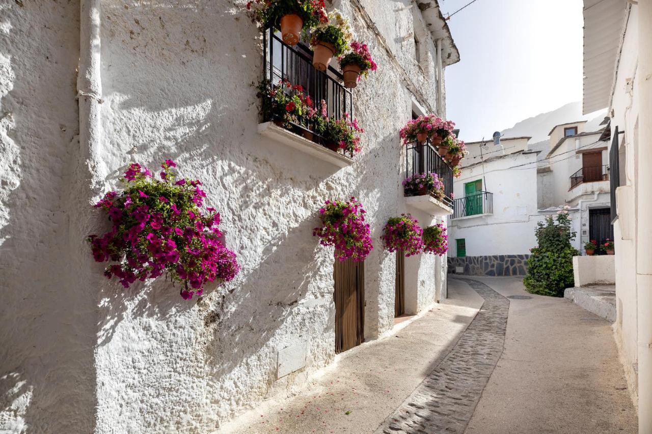 Casa Rural El Fuerte De Atabuey Trevélez Екстериор снимка